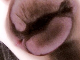 ヴァーチャルべろチュウ Lesbian Kiss　サンプル画像03